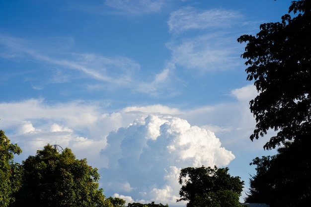 Un nuage dans le ciel