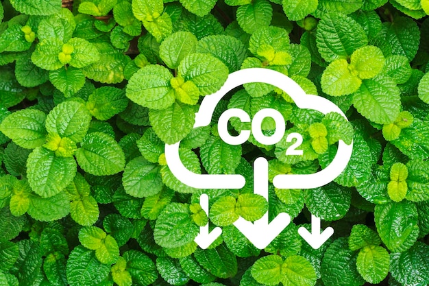 Un nuage avec le mot co2 au-dessus