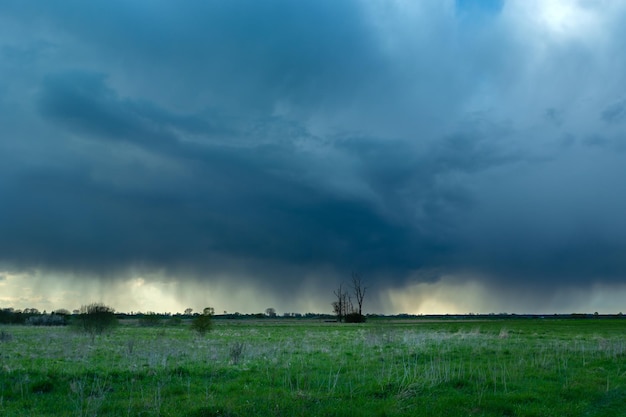 Nuage de pluie sur les prés et les arbres solitaires Czulczyce Pologne