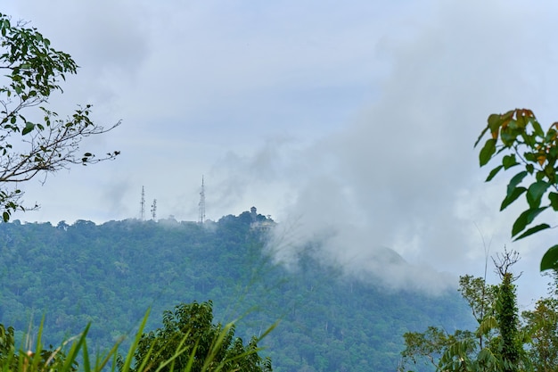 Un nuage pris sur une montagne dans la jungle. Paysage naturel.