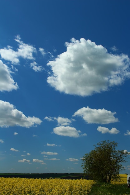 un nuage qui a le mot nuage dessus