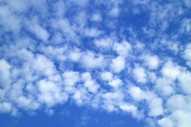 Nuages Altocumulus blancs éparpillés sur un ciel bleu vibrant