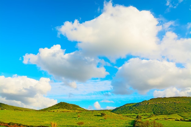 Photo nuages blancs sur un champ vert en sardaigne italie