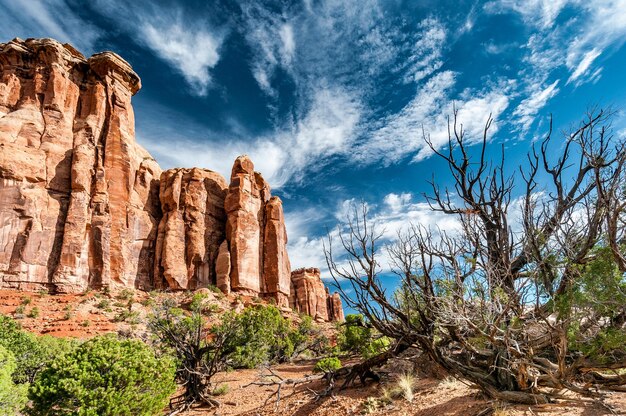 Nuages blancs, ciel bleu, arbustes et bois mort, falaises et roche rouge au Colorado National Monument