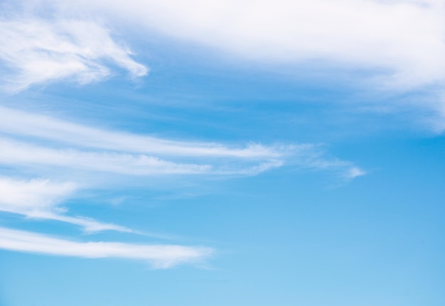 Nuages blancs sur le concept de SkyBackgrounds bleu clair