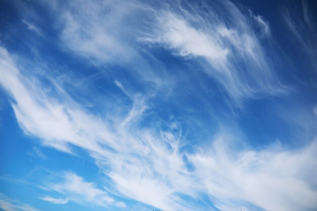 Nuages blancs dans le ciel bleu à midi l'été