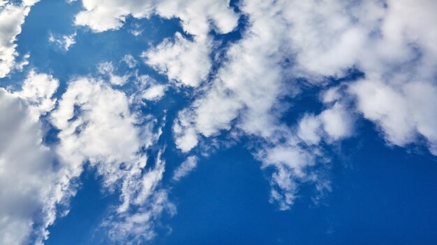 Nuages blancs duveteux sur fond de ciel bleu