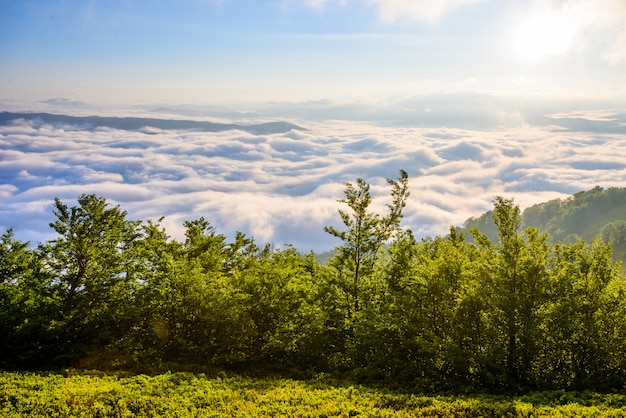 Nuages blancs majestueux en dessous