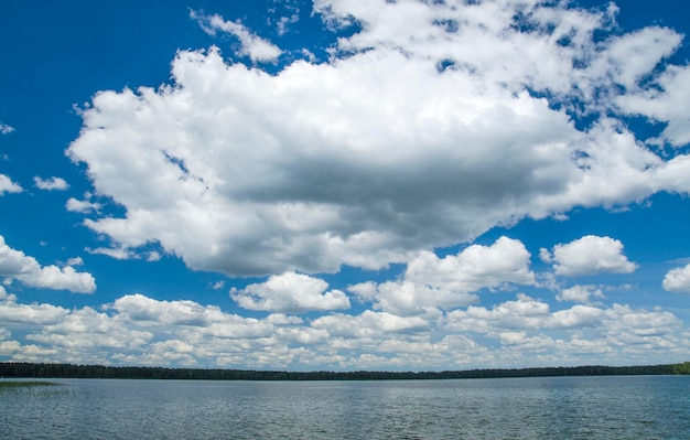 Des nuages blancs et moelleux dans le ciel bleu foncé de l'été fond de papier peint naturel
