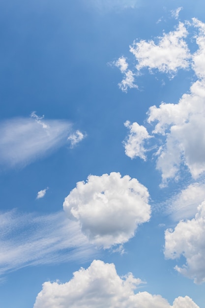 Des nuages blancs moelleux flottent dans le ciel bleu