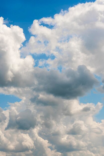 Nuages blancs pelucheux sur un fond de ciel bleu