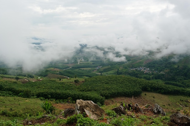 Nuages de brouillard du matin sur la montagne