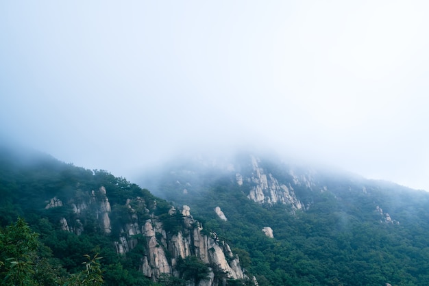 Nuages et brume dans le parc