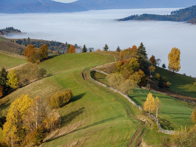 Nuages brumeux du matin dans la campagne de montagne d'automne Ukraine Carpates Transcarpatie Paisible pittoresque voyage nature saisonnière et scène de concept de beauté de la campagne