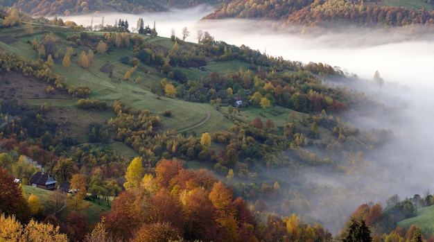 Nuages brumeux du matin dans la campagne de montagne d'automne Ukraine Carpates Transcarpatie