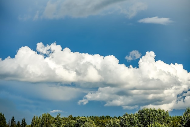 Nuages sur un ciel bleu avec une bande de forêt