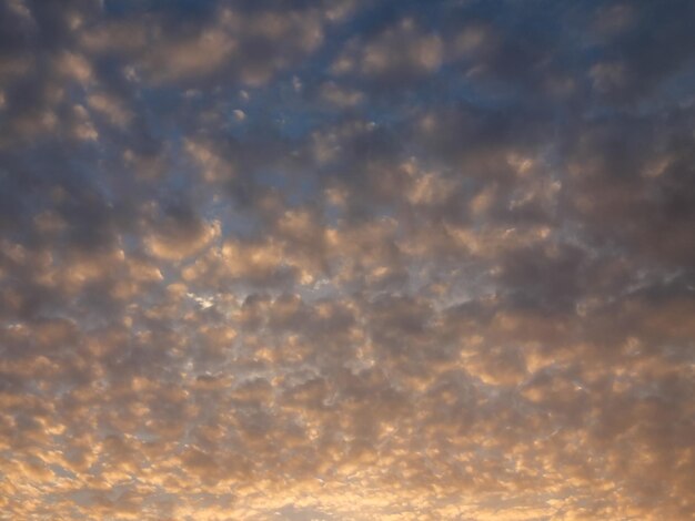 Des nuages colorés au coucher du soleil