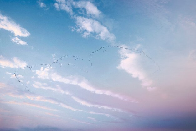 Nuages dans un fond de ciel bleu