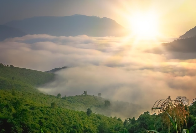 Nuages denses au fond de la vallée dans les montagnes du nord du Laos