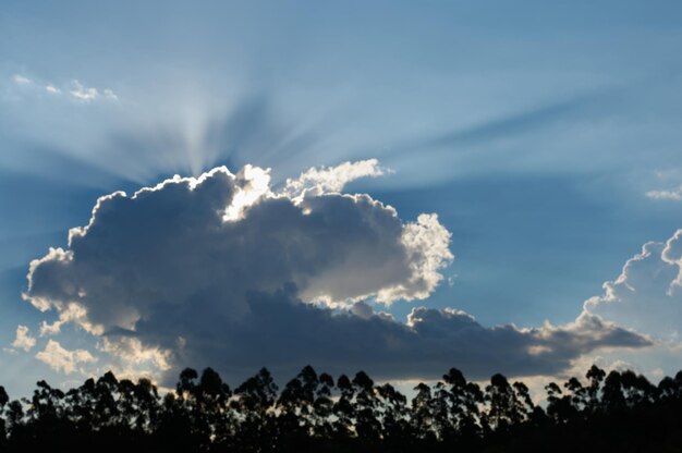 Photo les nuages du ciel