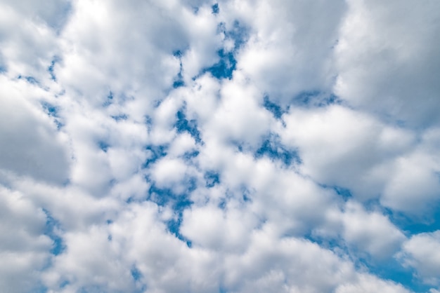 Nuages duveteux dans le ciel