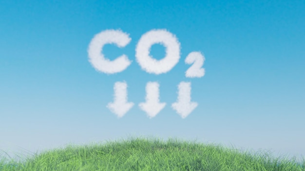 Nuages et herbe fraîche avec le mot co2 au milieu