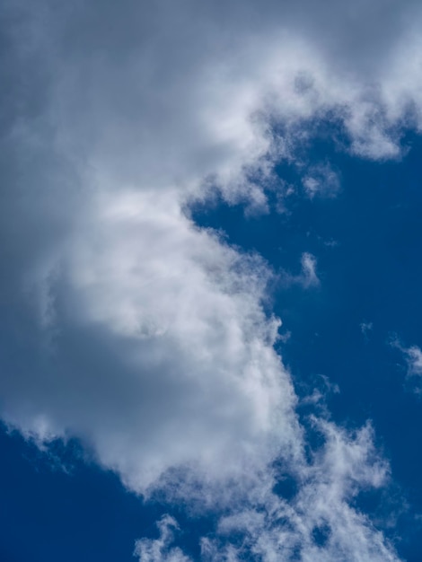 Des nuages moelleux et un ciel bleu en arrière-plan