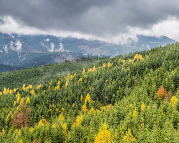 Nuages sur les montagnes avec la forêt d'automne