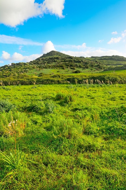 Nuages mous au-dessus d'une colline verte en Sardaigne Italie