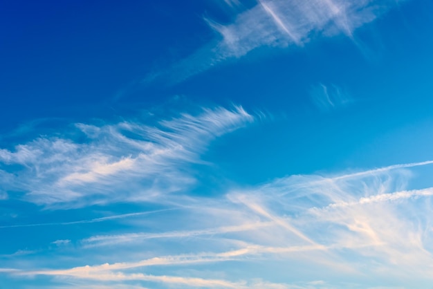 Nuages de plumes sur fond de ciel bleu profond