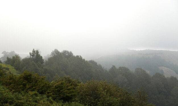 Nuages qui coule gros plan sur les montagnes