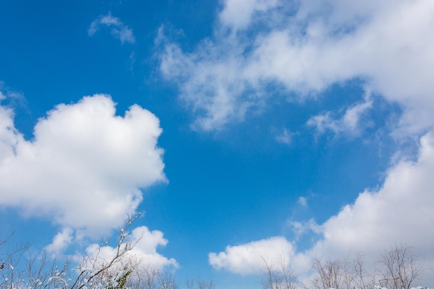 Nuages Sky Blue