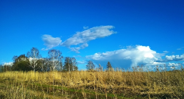 les nuages volent au-dessus d'un vaste champ