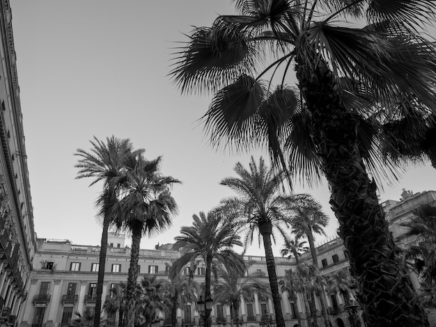 La nuit de Barcelone