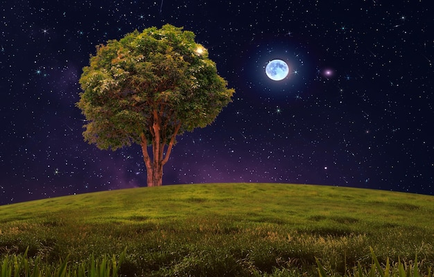 nuit ciel étoilé et lune nébuleuse de poussière de comète et vent d'automne champ vert sauvage et arbres