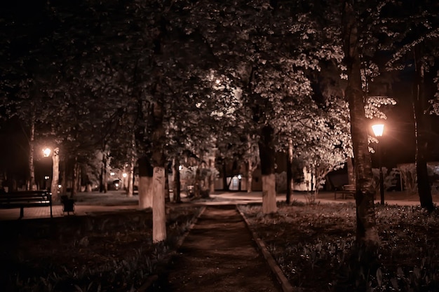 nuit dans le paysage du parc, vue abstraite de la ruelle, arbres et lumières à l'arrière-plan flou d'automne