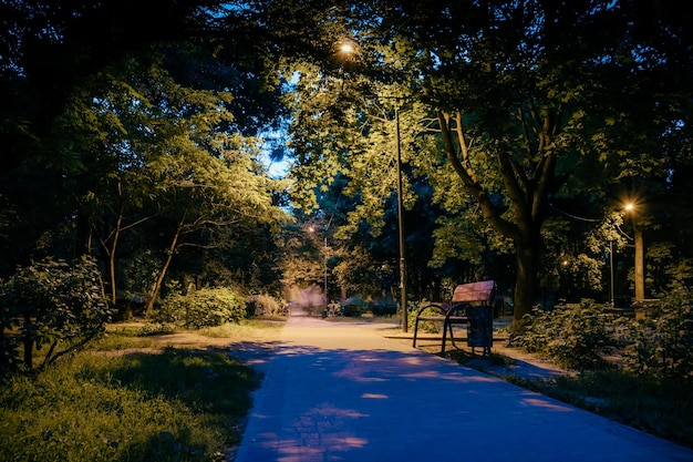 La nuit d'été parc de la ville bancs en bois lumières de rue et arbres verts la route carrelée dans le parc de nuit