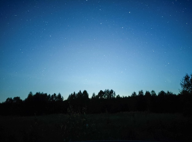 Nuit d'été