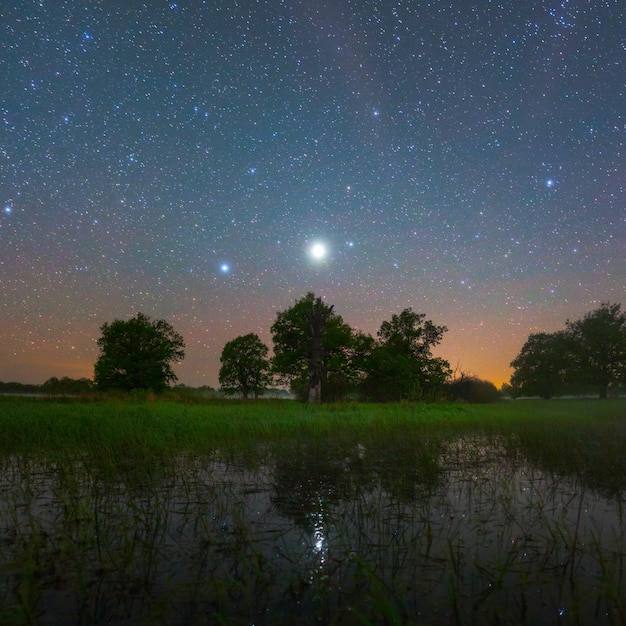 Nuit étoilée dans le parc national Prypiacki, Biélorussie