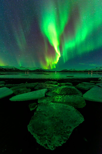 Une nuit merveilleuse avec les aurores boréales