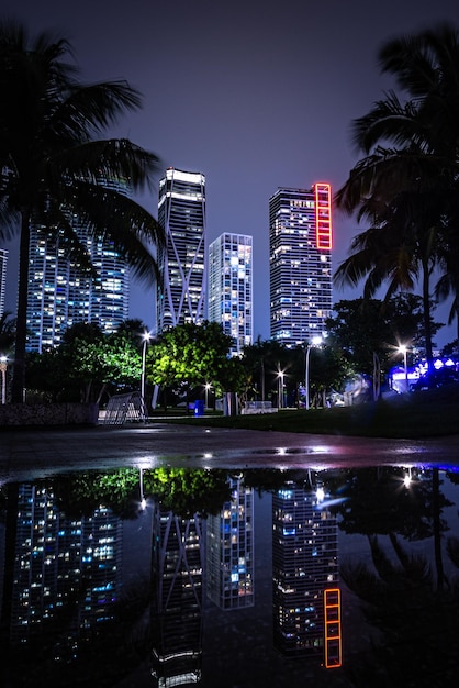 Nuits de Miami après la pluie