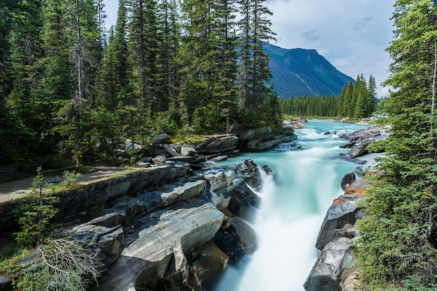 Numa Falls au parc national de Kootenay