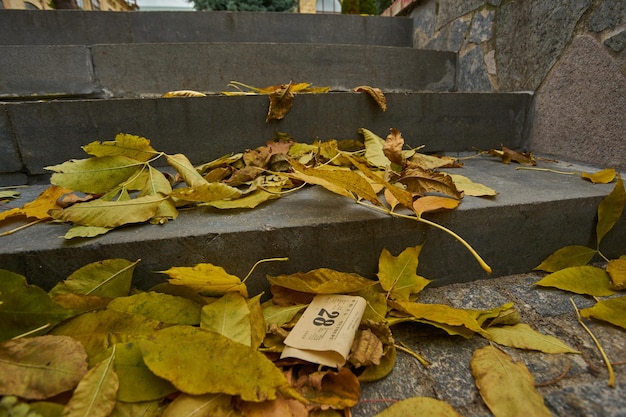 Un numéro 23 est allongé sur les marches d'un escalier.