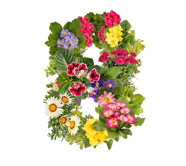 Le numéro 8 fait de fleurs.