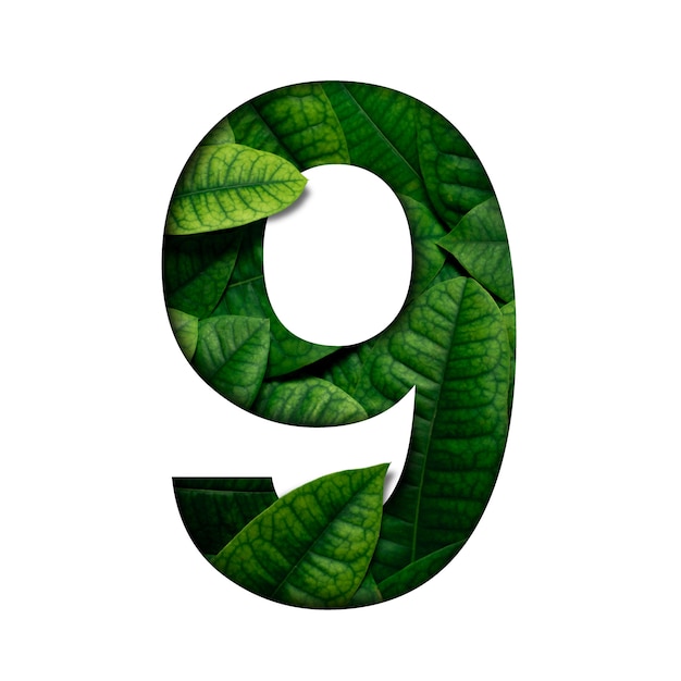 Photo le numéro 9 de lefas est constitué de feuilles vivantes réelles avec du papier précieux en forme de nombre. leafs police.