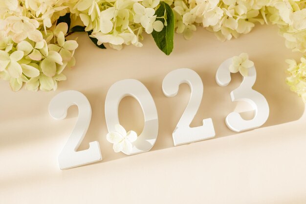 Numéro en bois blanc 2023 sur fond beige pastel avec des fleurs Vue de dessus mise à plat Bonne année 2023