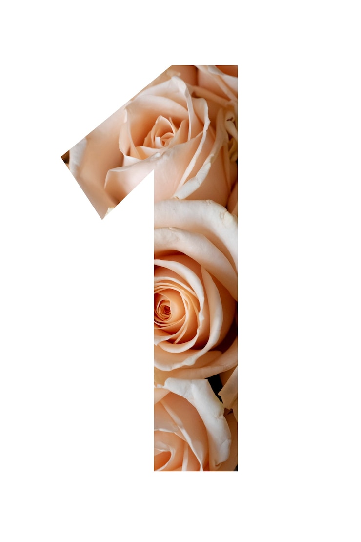 Photo numéro un des fleurs roses sur un mur blanc,