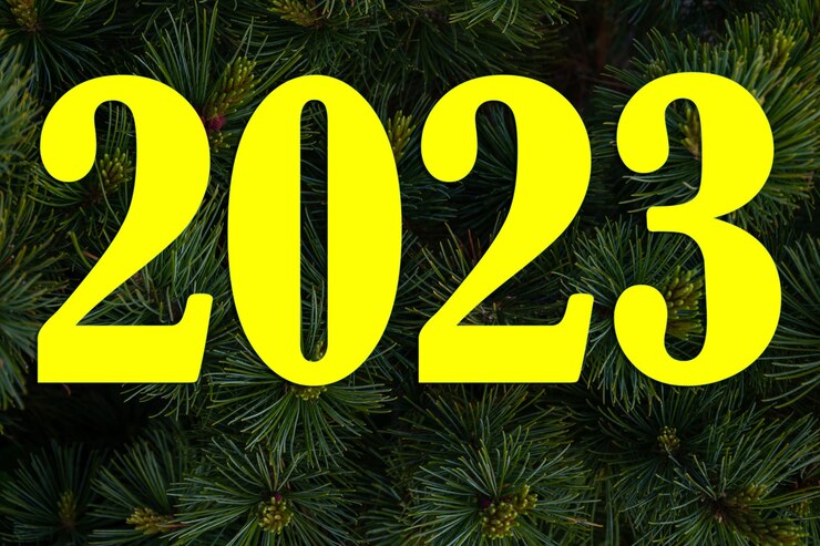 Photo numéros 2023 sur fond de gros plan de branches de pin, fond de noël naturel. belle branche d'épinette avec aiguilles et jeunes pousses dans la nature. fond de branches d'arbre de noël.