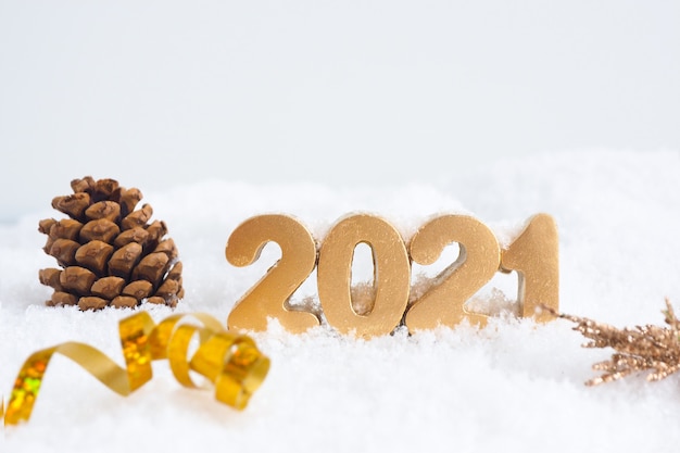 Numéros d'or 2021, pomme de sapin et serpentine dans la neige.