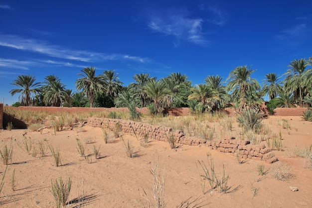 Une oasis dans le désert du Sahara au cœur de l'Afrique